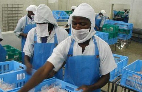 I&P Afrique Entrepreneurs 3 (IPAE 3) First Close and Investment Strategy